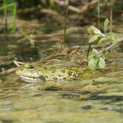 DSC_3065.jpg