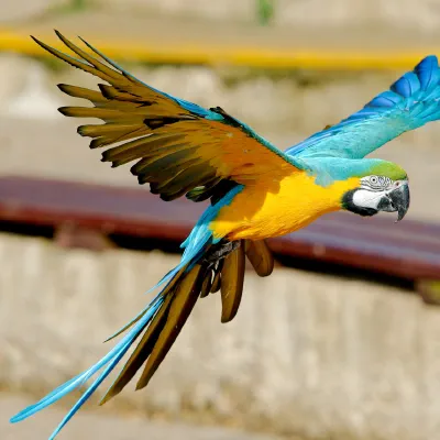 DSC_3319.jpg