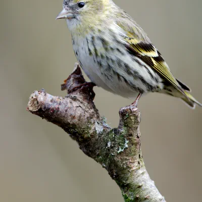 DSC_7607.jpg